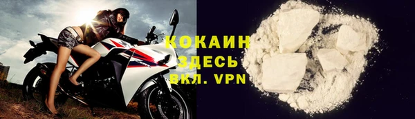 ГАЛЛЮЦИНОГЕННЫЕ ГРИБЫ Елизово