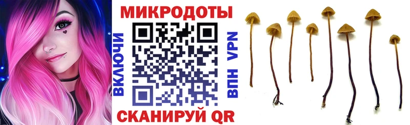 Галлюциногенные грибы мухоморы  mega вход  Плавск 